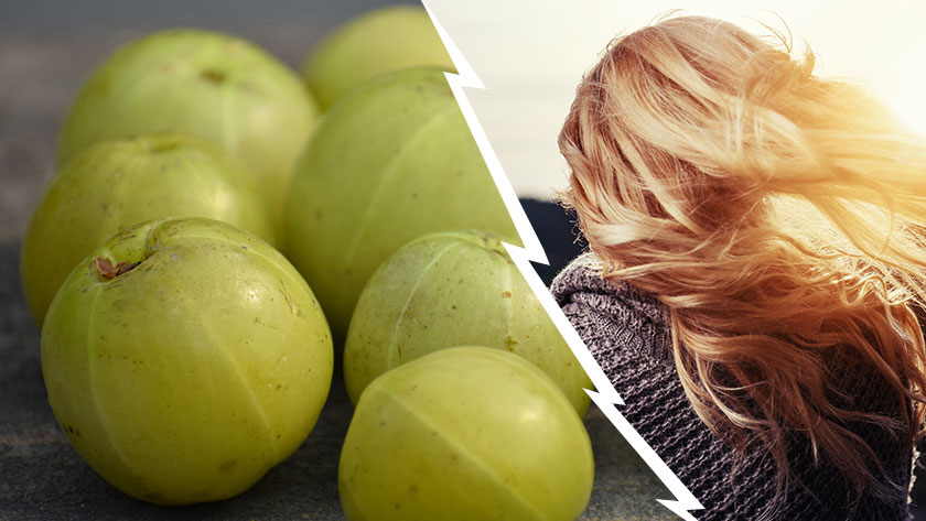 Beneficios da Amla para o Cabelo: previne a queda e fortalece os folículos - Blog - Uma Vida Mais Abundante