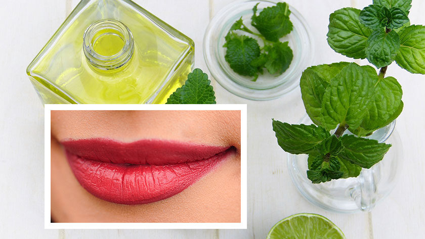 Benefícios do óleo de Hortelã para os Lábios - Blog - Dicas Naturais - Uma Vida Mais Abundante